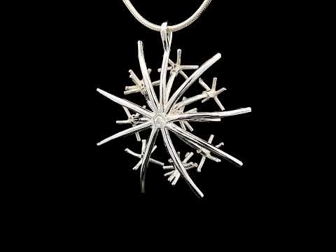 Video of Martina Hamilton's Sterling Silver Chamaeleon Medium Pendant. Available on DESIGNYARD.com and in our Jewelry Store Dublin, Ireland.