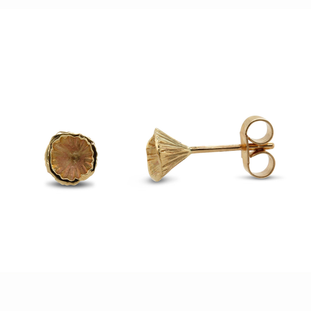 Photograph 1 of Martina Hamilton's 9k Yellow Gold Shell Cone Micro Stud Earrings. Available on DESIGNYARD.com and in our Jewelry Store Dublin, Ireland.